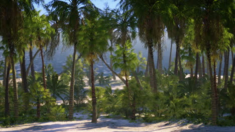 desert-island-with-palm-trees-on-the-beach