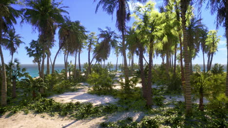 Einsame-Insel-Mit-Palmen-Am-Strand