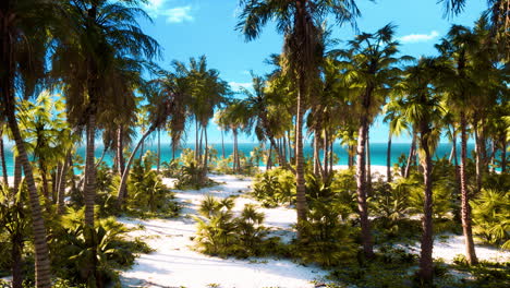 desert-island-with-palm-trees-on-the-beach