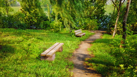 beautiful-bench-in-the-park-at-spring-sunny-day