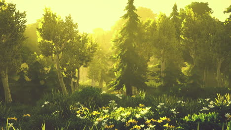 Bosque-Verde-Floreciente-De-Dibujos-Animados-Al-Atardecer