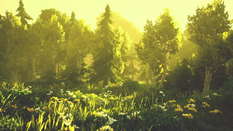 cartoon-Sunbeams-streaming-through-the-trees