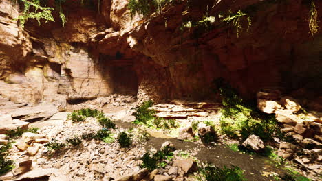 La-Vista-Dentro-De-La-Cueva-De-Las-Hadas-Cubierta-De-Plantas-Verdes-Que-Se-Iluminan-Solas