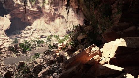 Vista-Desde-El-Interior-De-Una-Cueva-Oscura-Con-Plantas-Verdes-Y-Luz-En-La-Salida