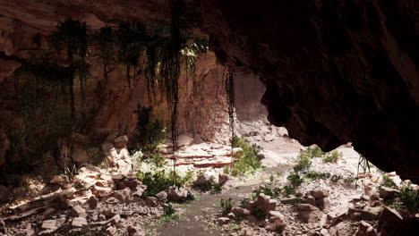 Blick-Aus-Dem-Inneren-Einer-Dunklen-Höhle-Mit-Grünen-Pflanzen-Und-Licht-Am-Ausgang