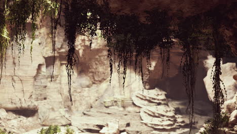 View-from-inside-a-dark-cave-with-green-plants-and-light-on-the-exit