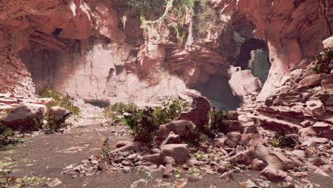 La-Vista-Dentro-De-La-Cueva-De-Hadas-Con-Plantas