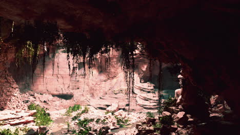 La-Vista-Dentro-De-La-Cueva-De-Hadas-Con-Plantas