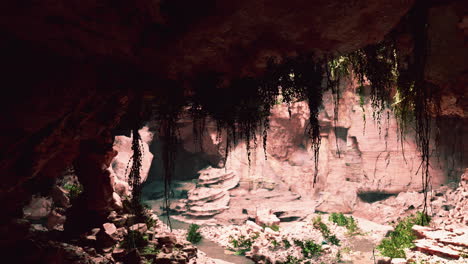 Blick-Von-Der-Höhle-Auf-Das-Licht