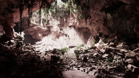 Hojas-De-Helecho-Cuelgan-Verticalmente-Sobre-La-Entrada-De-Una-Antigua-Cueva-De-Piedra