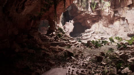 Hojas-De-Helecho-Cuelgan-Verticalmente-Sobre-La-Entrada-De-Una-Antigua-Cueva-De-Piedra