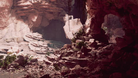 Blick-Aus-Dem-Inneren-Einer-Dunklen-Höhle
