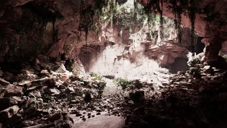 Atemberaubende-Alte-Höhle-Im-Tropischen-Wald