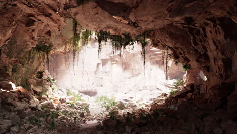 In-Einer-Kalksteinhöhle-Mit-Pflanzen-Und-Sonnenschein
