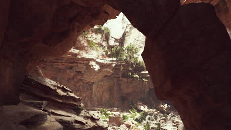 Gran-Cueva-Rocosa-De-Hadas-Con-Plantas-Verdes