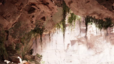 inside-a-limestone-cave-with-plants-and-sun-shine