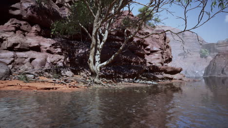 Rocks-of-Colorado-river-with-trees