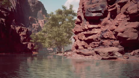 Rocks-of-Colorado-river-with-trees