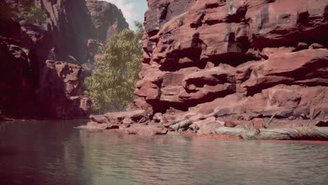 Der-Colorado-River-Fließt-Durch-Den-Grand-Canyon