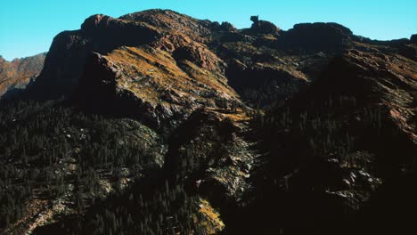 panorama-of-cone-forest-at-mountains