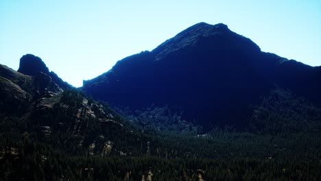 Panorama-Del-Bosque-De-Conos-En-Las-Montañas