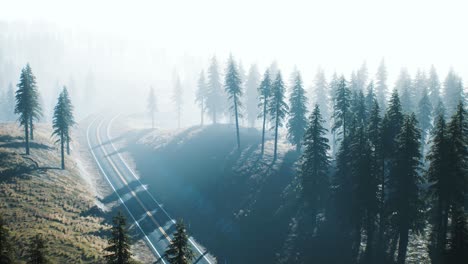 road-through-the-russian-taiga-forest-from-aerial-view