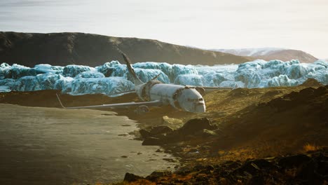 old-broken-plane-on-the-beach-of-Iceland