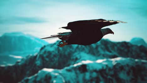 águila-Calva-Americana-En-Cámara-Lenta-En-Vuelo-Sobre-Las-Montañas-De-Alaska