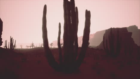 Sunset-view-of-the-Arizona-desert-with-Saguaro-cacti-and-mountains