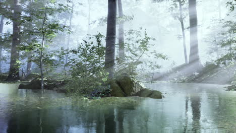 Panoramic-of-the-forest-with-river-reflecting-the-trees-in-the-water