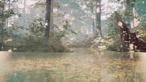 Panorama-Des-Waldes-Mit-Fluss,-Der-Die-Bäume-Im-Wasser-Reflektiert