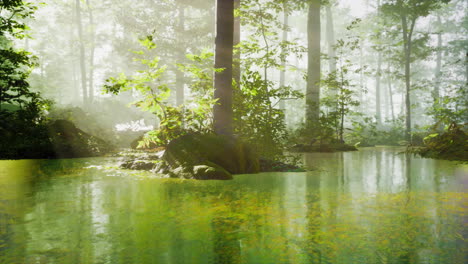 Teich-In-Einem-Wald-Mit-Nebel
