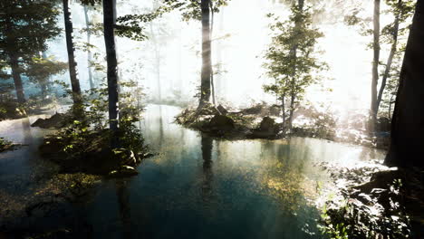 Lake-in-the-dark-majestic-evergreen-forest