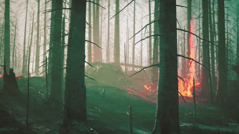 Wildfire-Quema-La-Tierra-En-El-Bosque