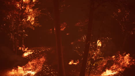 large-flames-of-forest-fire-at-night