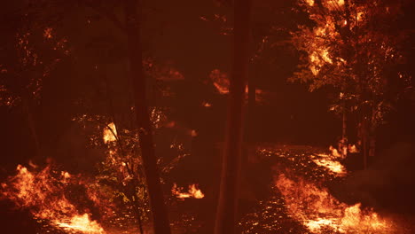 Große-Waldbrandflammen-In-Der-Nacht