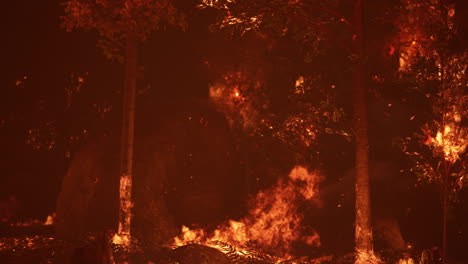 large-flames-of-forest-fire-at-night