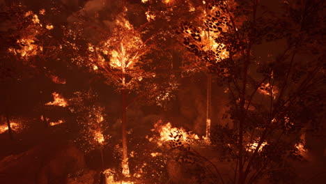 Große-Waldbrandflammen-In-Der-Nacht