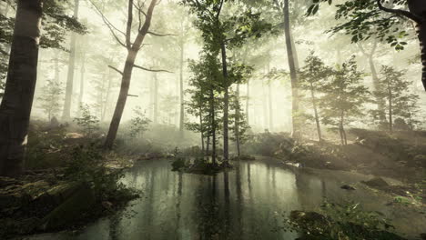 panoramic-view-of-the-majestic-forest-in-a-morning-fog