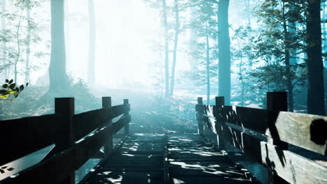 wooden-bridge-into-forest-with-river