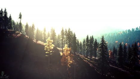 Sunset-in-the-mountains-with-forest-and-shining-sun