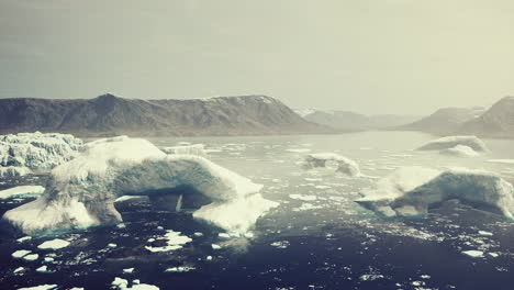 big-glacier-on-the-coast-of-Antarctica-a-sunny-summer-afternoon