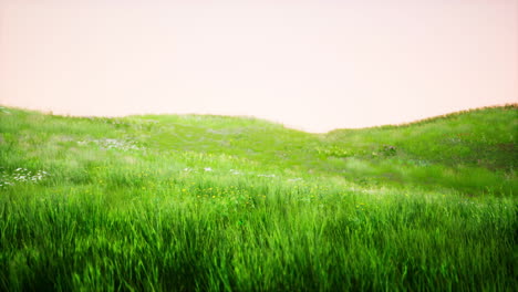 Green-Grass-Landscape-with-Hills-and-Blue-Sky
