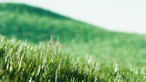 Green-fresh-grass-as-a-nice-background