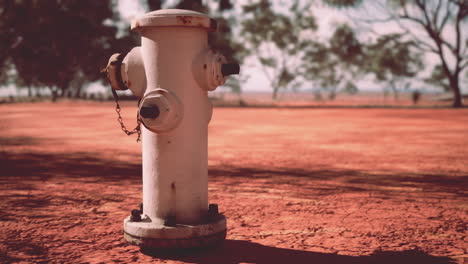 Hidrante-Oxidado-Viejo-En-El-Desierto