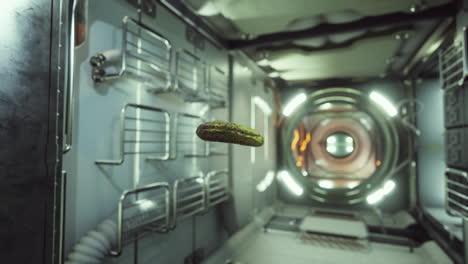 marinated-pickled-cucumber-floating-in-internation-space-station