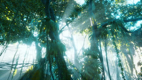 morning-light-in-beautiful-jungle-garden