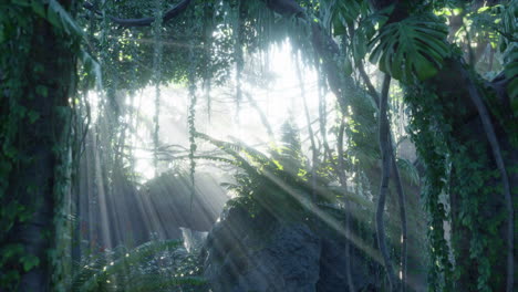 Morgenlicht-Im-Wunderschönen-Dschungelgarten
