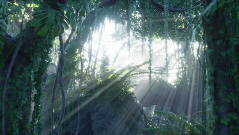 Selva-Tropical-Nublada-Y-Rayos-De-Sol-Brillantes-A-Través-De-Las-Ramas-De-Los-árboles