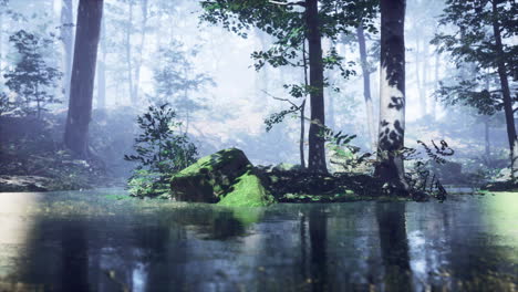 Mist-on-pond-in-forest-with-fog